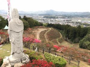 茨城県．笠間市 笠間つつじ公園 (Kasamatsutsuji Park) 杜鵑花 開花情報