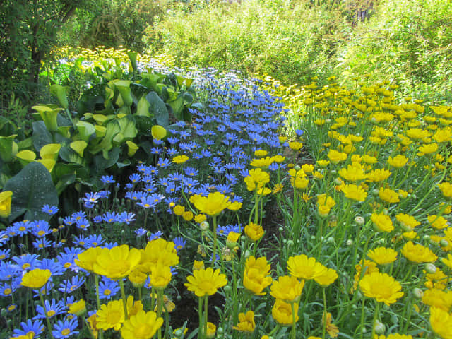 足利花卉公園