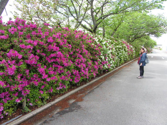 日本桑名市 長島三井 MITSUI OUTLET PARK