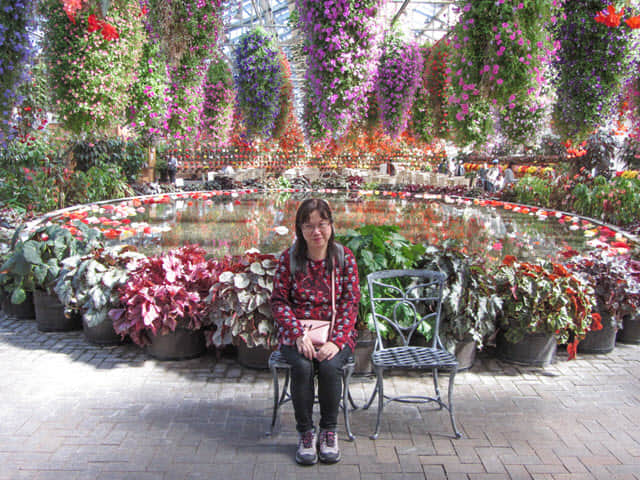 日本桑名市 名花之里 秋海棠溫室花園 水池
