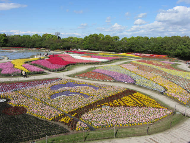 日本三重縣 名花之里 (なばなの里) 鬱金香花田花廣場展望台眺望