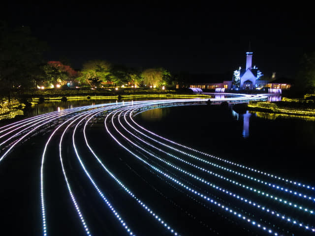 名花之里 湖畔晚上夜色