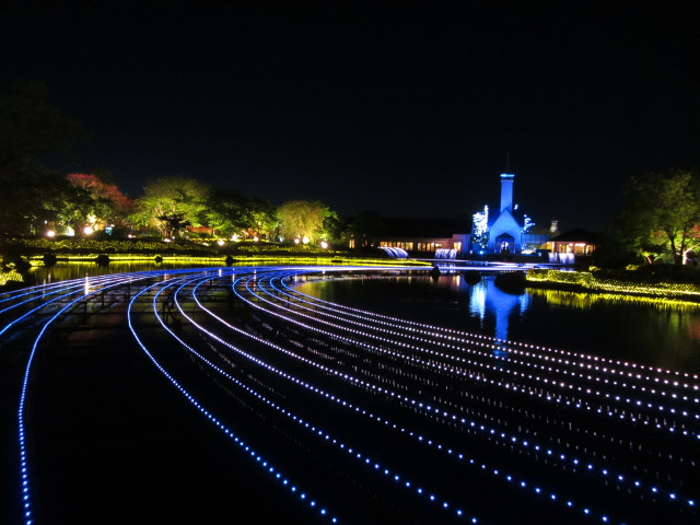 名花之里 湖畔晚上夜色