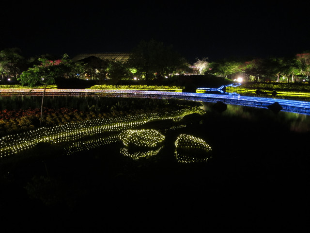 名花之里 湖畔晚上夜色