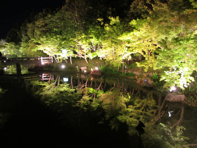 名花之里 鏡池晚上景色