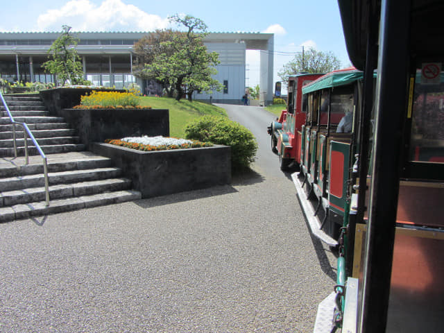 日本濱松．濱松花卉公園 遊園觀光列車