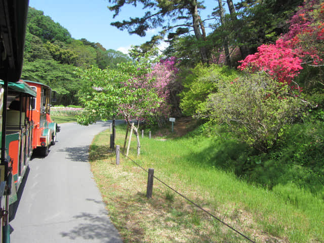 日本濱松．濱松花卉公園 遊園觀光列車