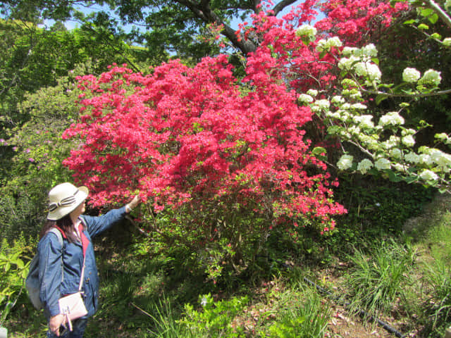 濱松花卉公園 花徑