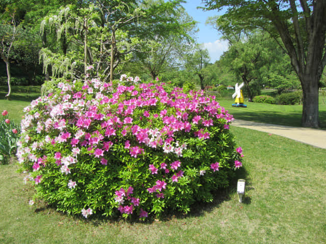 日本濱松花卉公園 水邊的廣場