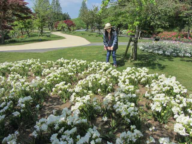 日本濱松花卉公園 水邊的廣場