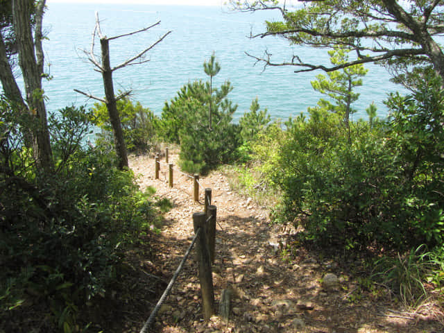 濱松舘山 とさか岩 (鳥冠岩、雞冠岩) 山路