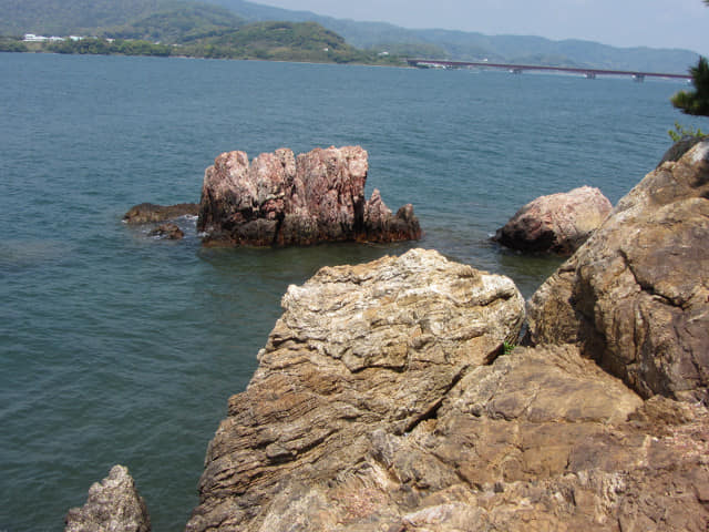 濱松 濱名湖 舘山 とさか岩 (鳥冠岩、雞冠岩)