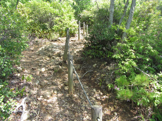 濱松舘山 とさか岩 (鳥冠岩、雞冠岩) 山路