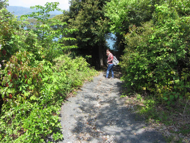 濱松舘山 周遊道