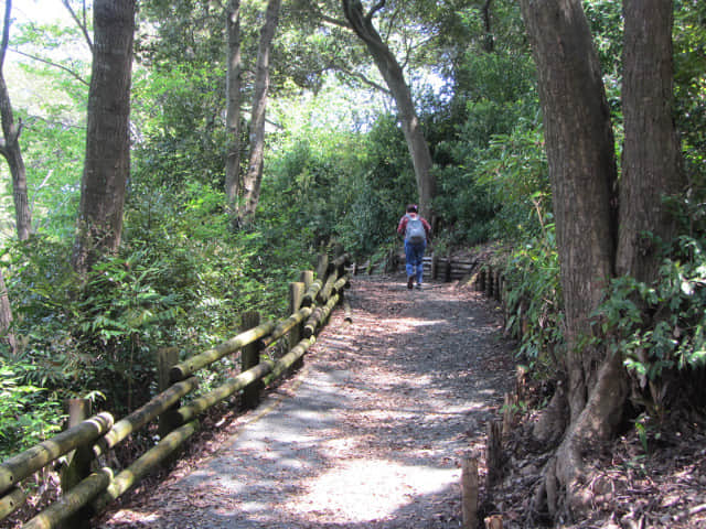 濱松舘山 登山 周遊道