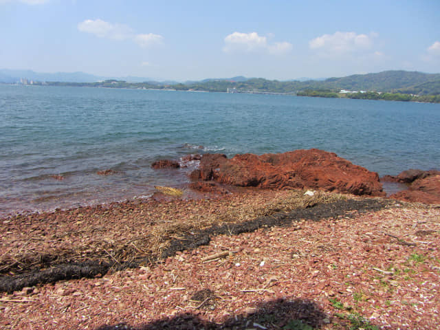 濱松舘山 チャート海岸