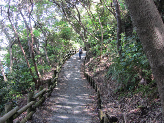 濱松舘山周遊道