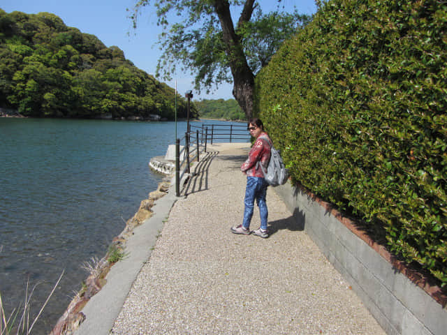 濱松濱名湖 湖岸道