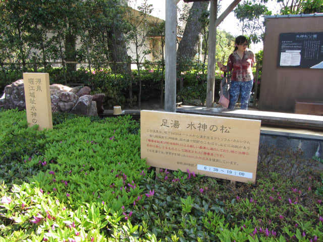 濱松濱名湖 湖岸道 水神松公園．水神の松(足湯)