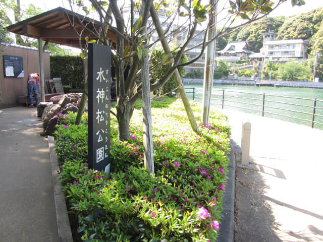 濱松濱名湖 湖岸道 水神松公園．水神の松(足湯)