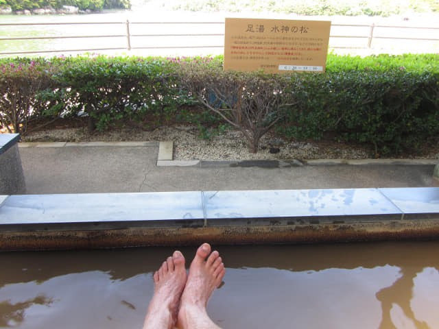 濱松濱名湖 湖岸道 水神松公園．水神の松(足湯)