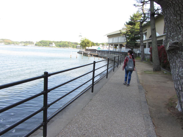 濱松濱名湖 湖岸道