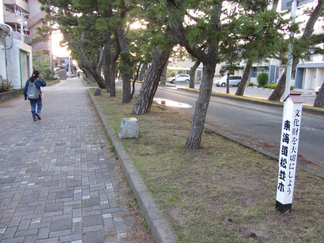 濱松馬郡車庫巴士總站步行往弁天島海濱公園 舊東海道松並木