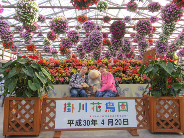 日本掛川市 掛川花鳥園