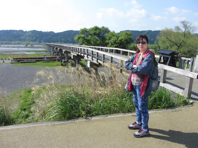 日本靜岡縣島田市 蓬萊橋 世界最長木橋