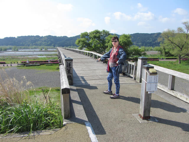 日本靜岡縣島田市 蓬萊橋 世界最長木橋