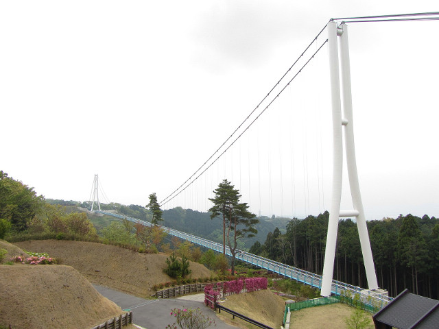 日本靜岡縣三島市 三島大吊橋 日本最長的吊橋