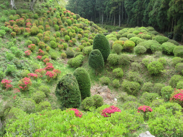 日本靜岡縣三島市 山中城跡