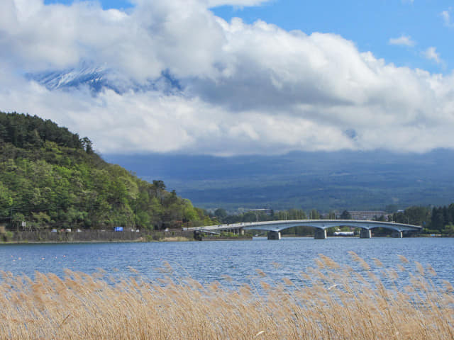 日本山梨縣河口湖  富士山