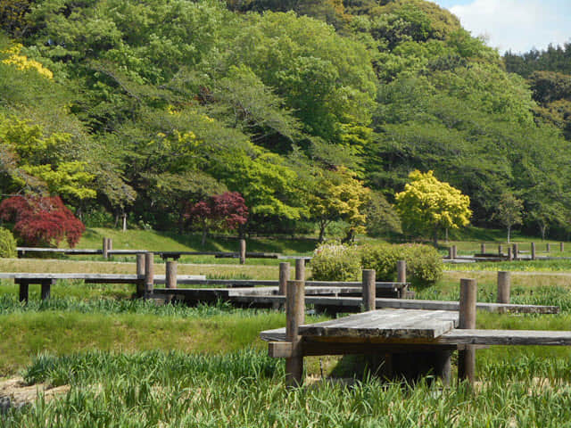 日本濱松花卉公園