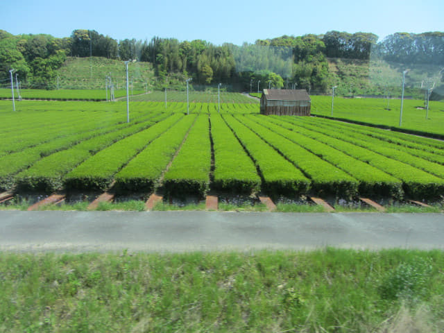 濱松西鹿島駅乘天濱線鐵道往掛川