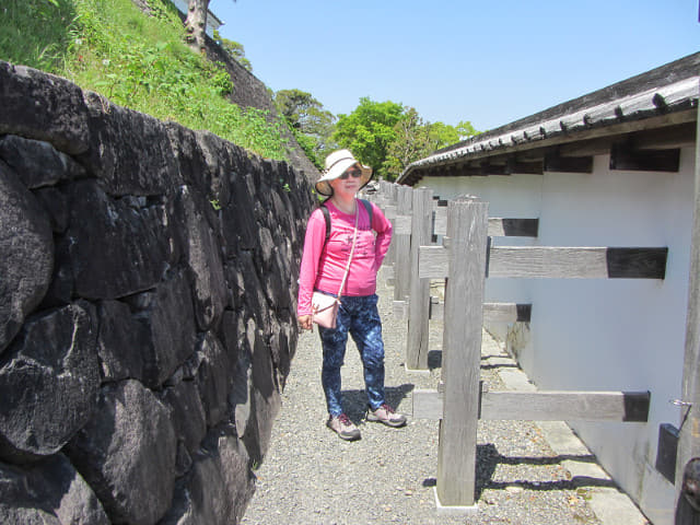 登上掛川城本丸天守閣