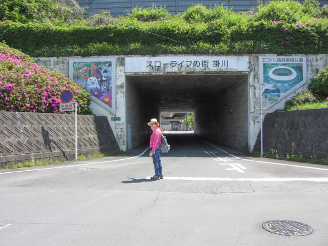 掛川駅南口 步行到 掛川花鳥園 