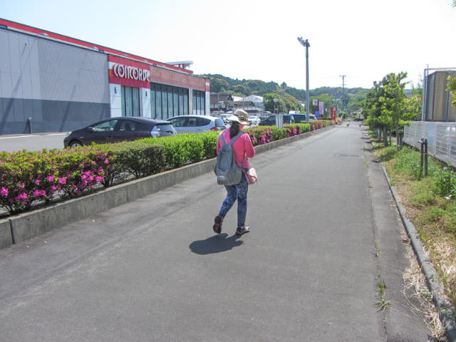 掛川駅南口 步行到 掛川花鳥園 