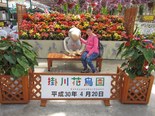 掛川花鳥園