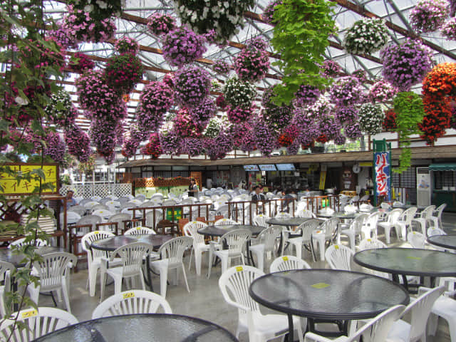 掛川花鳥園 餐廳區