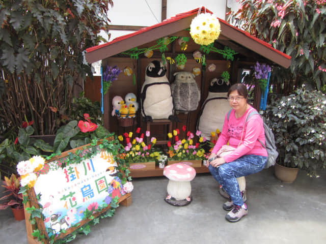 掛川花鳥園 托哥巨嘴鳥及朱鷺亞科區域 (才才八シと 卜キの水辺 Toco Toucan & Lbis Area)