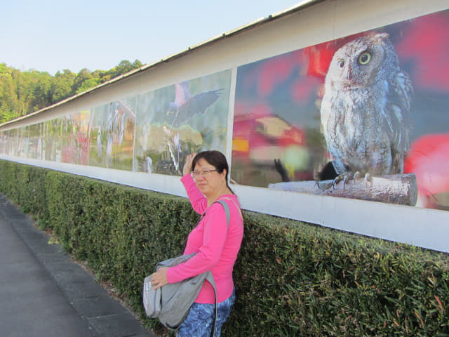 掛川花鳥園 出口