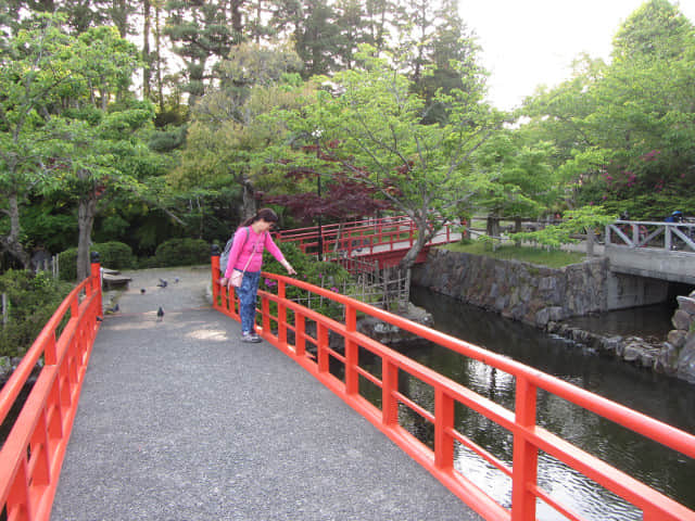 掛川城公園 日式庭園