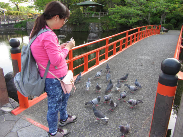 掛川城公園 日式庭園