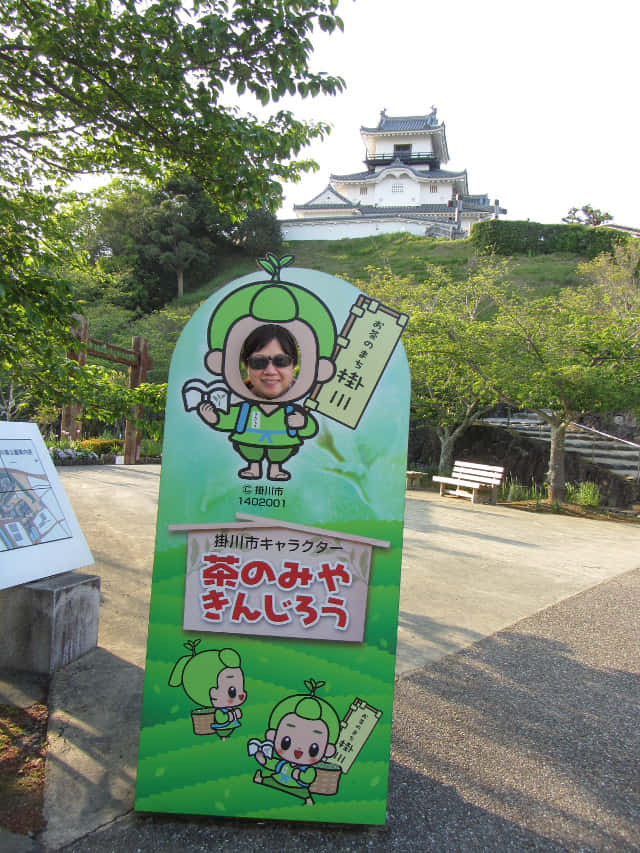 掛川城公園．花廣場 黃昏景色