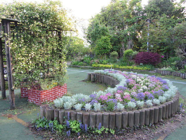 掛川城公園．花廣場 黃昏景色