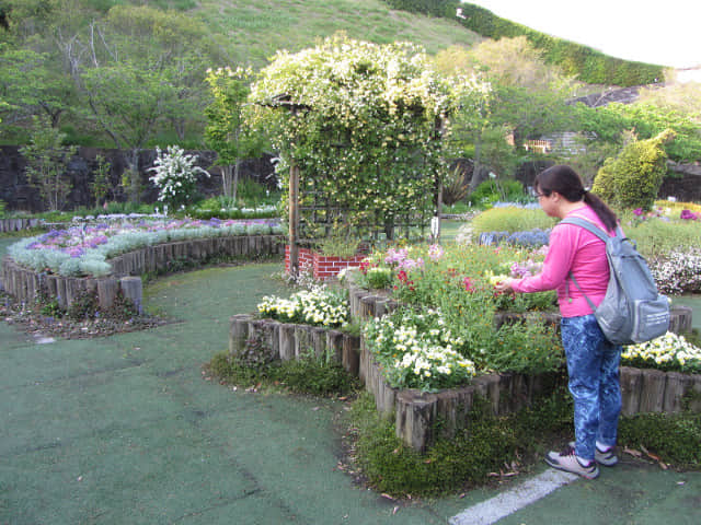 掛川城公園．花廣場 黃昏景色