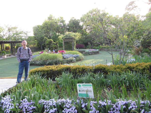 掛川城公園．花廣場 黃昏景色