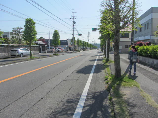 靜岡縣 島田街道