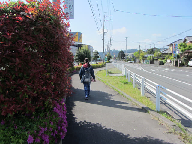 靜岡縣 島田 大型購物中心アピタ島田店 (APiTA Shimada Shop)